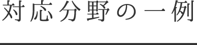 対応分野の一例